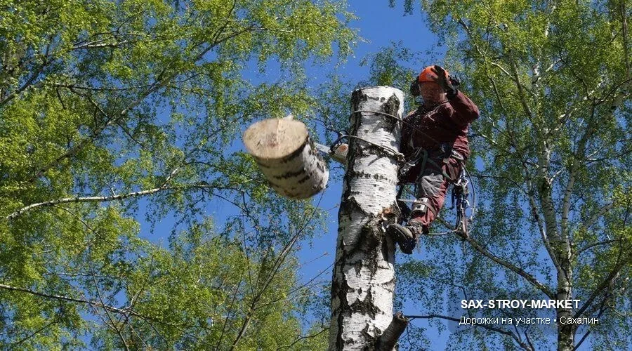 Благоустройство территории: участок у дома, планировка перед покрытием — Южно-Сахалинск, Сах-Строй-Маркет