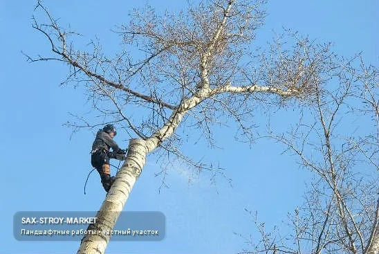 Благоустройство территории: участок у дома, благоустройство двора — Южно-Сахалинск, Сах-Строй-Маркет