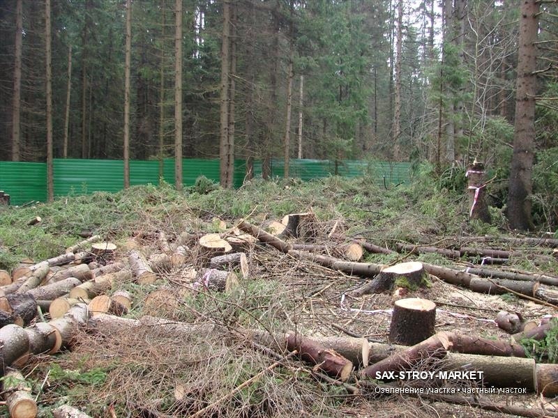 Благоустройство территории: участок у дома, планировка перед покрытием — Южно-Сахалинск, Сах-Строй-Маркет